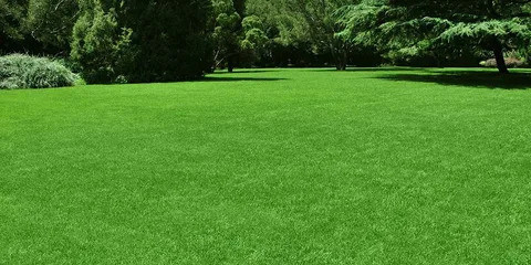 the-pros-of-using-fake-grass-on-your-lawn-big-0