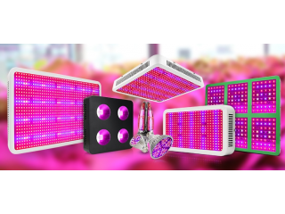 Why Are The Best Led Grow Lights Worth The Investment?